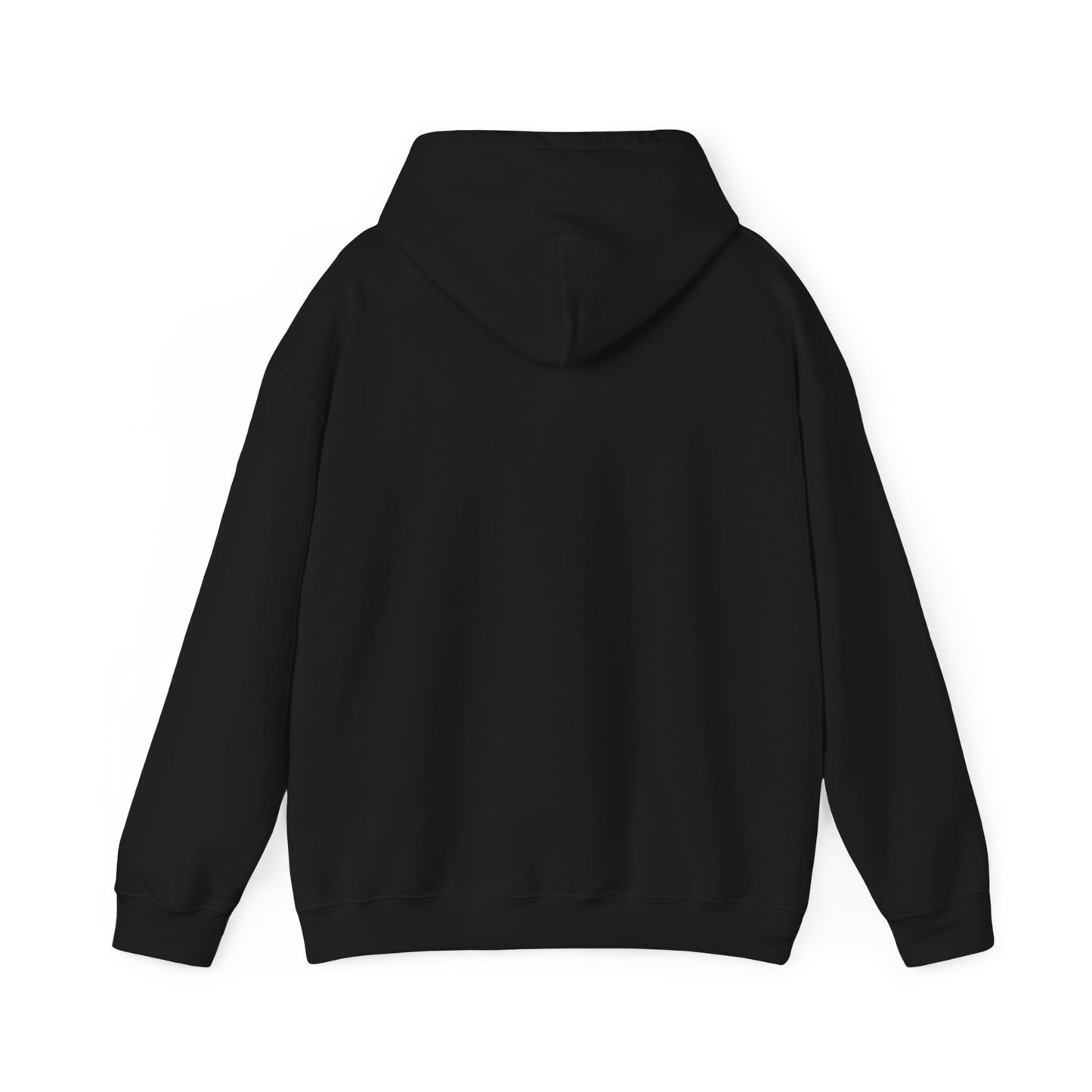 Come and Take It Texas Hoodie