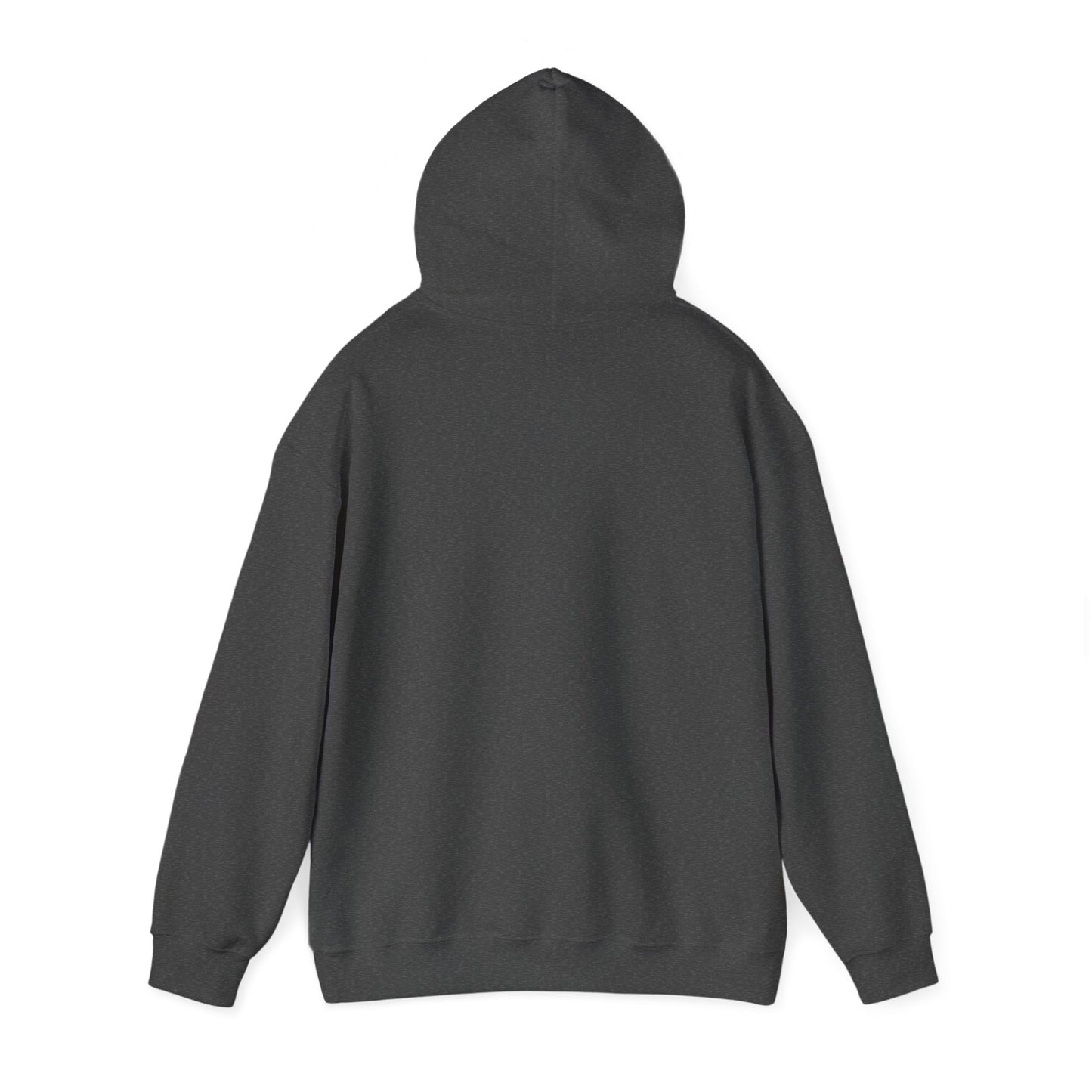 Come and Take It Texas Hoodie