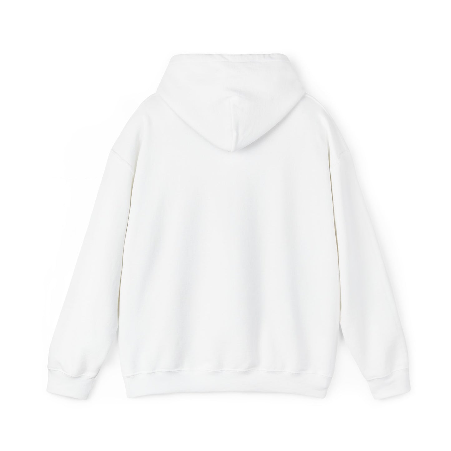 Come and Take It Texas Hoodie
