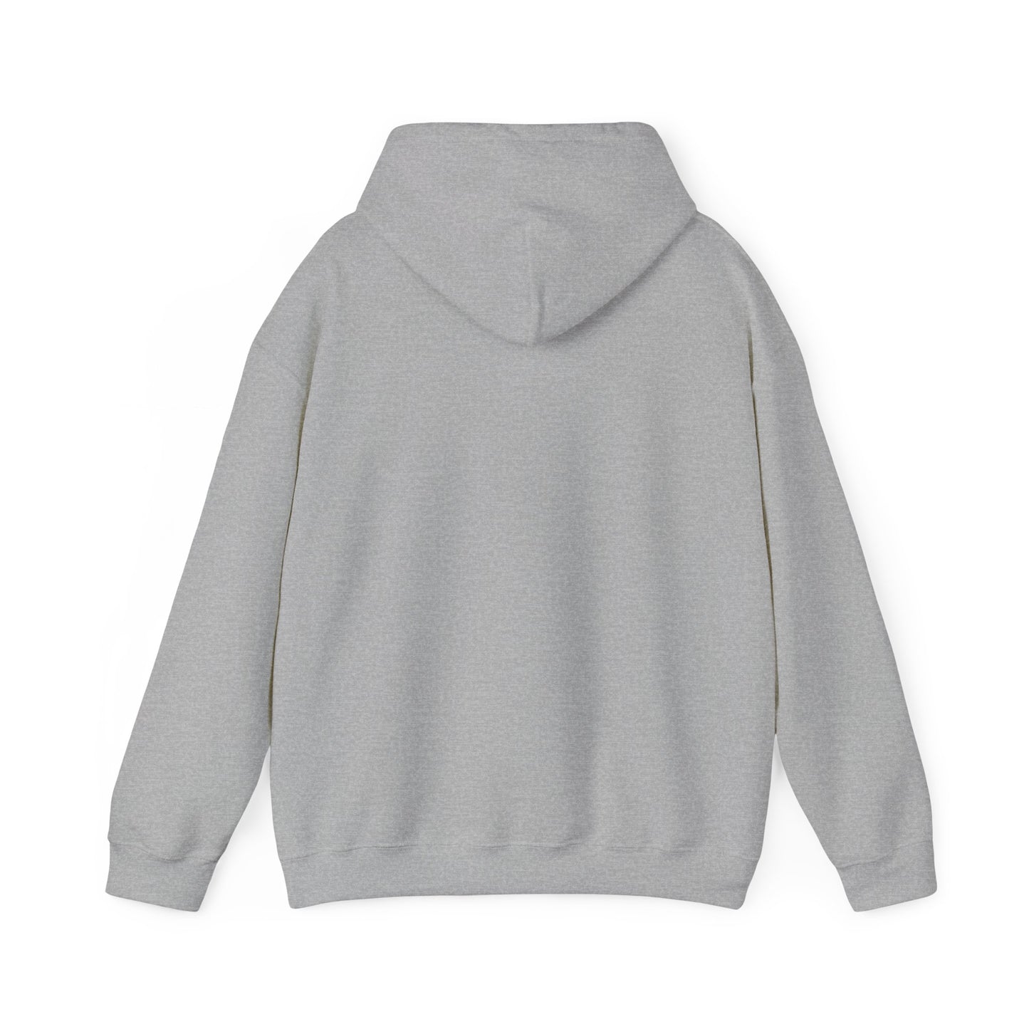 Come and Take It Texas Hoodie