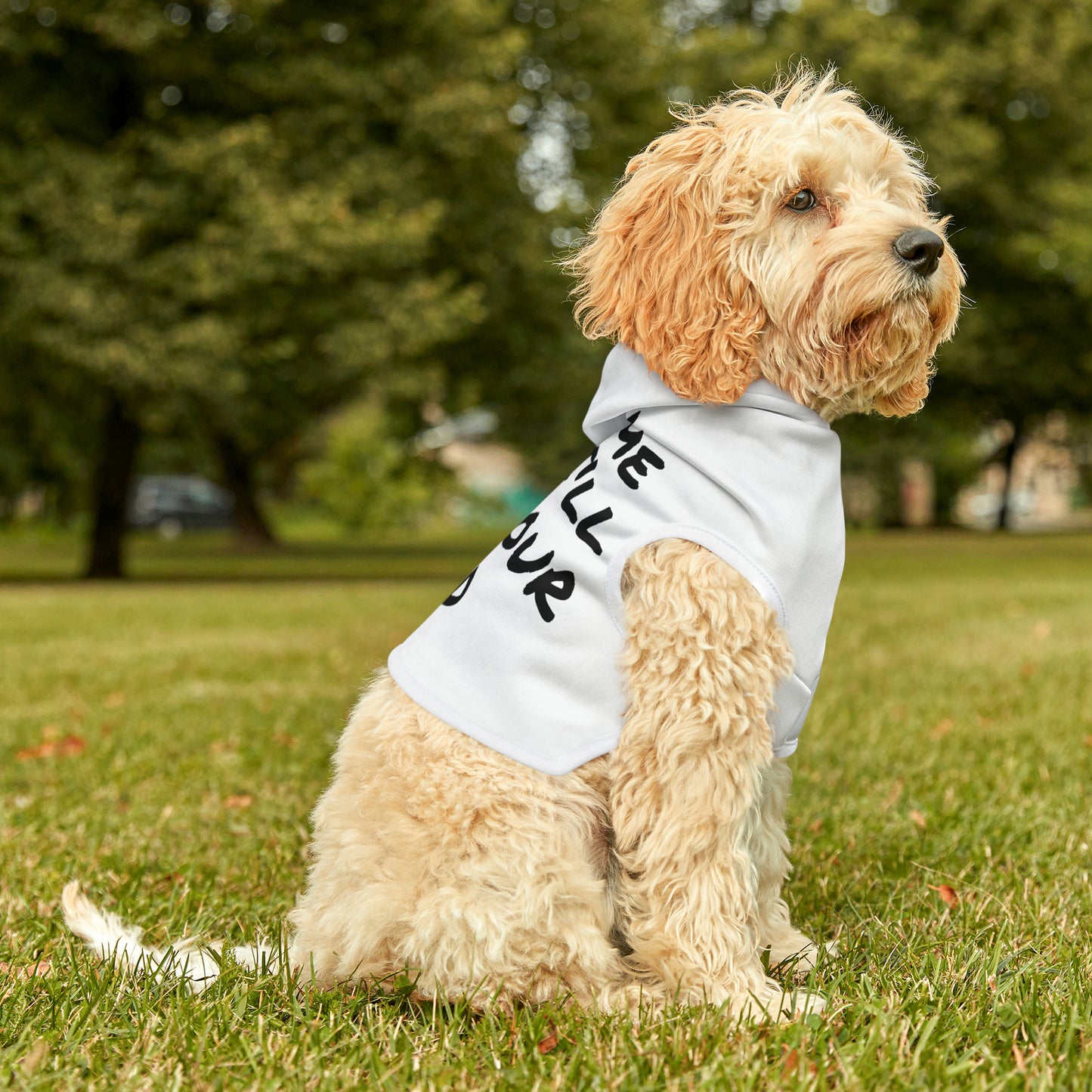 Poop in your yard Pet Hoodie