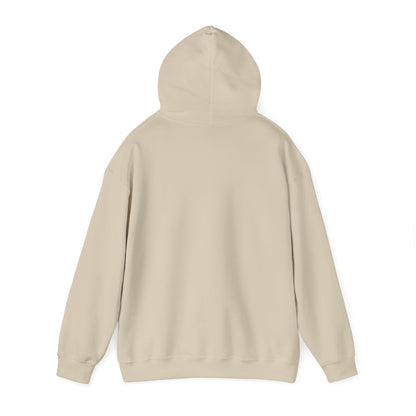 Come and Take It 'Merica Hoodie