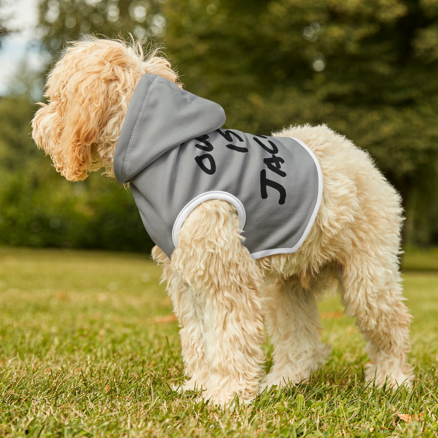 Jackass Owner Pet Hoodie