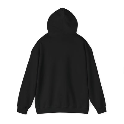 Come and Take it Hoodie