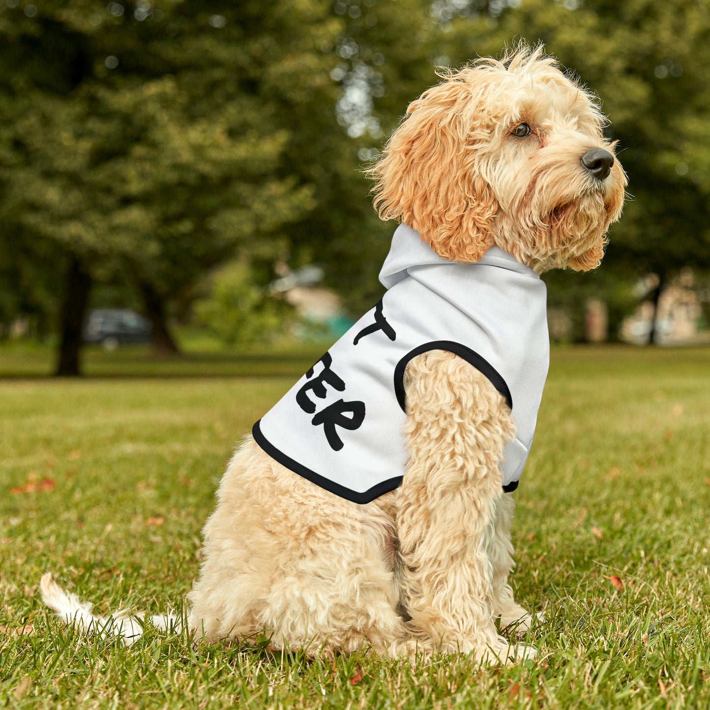 Butt Sniffer Pet Hoodie