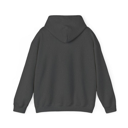 Come and Take It 'Merica Hoodie