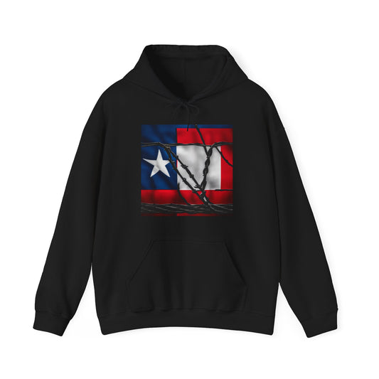 Come and Take It Texas Hoodie