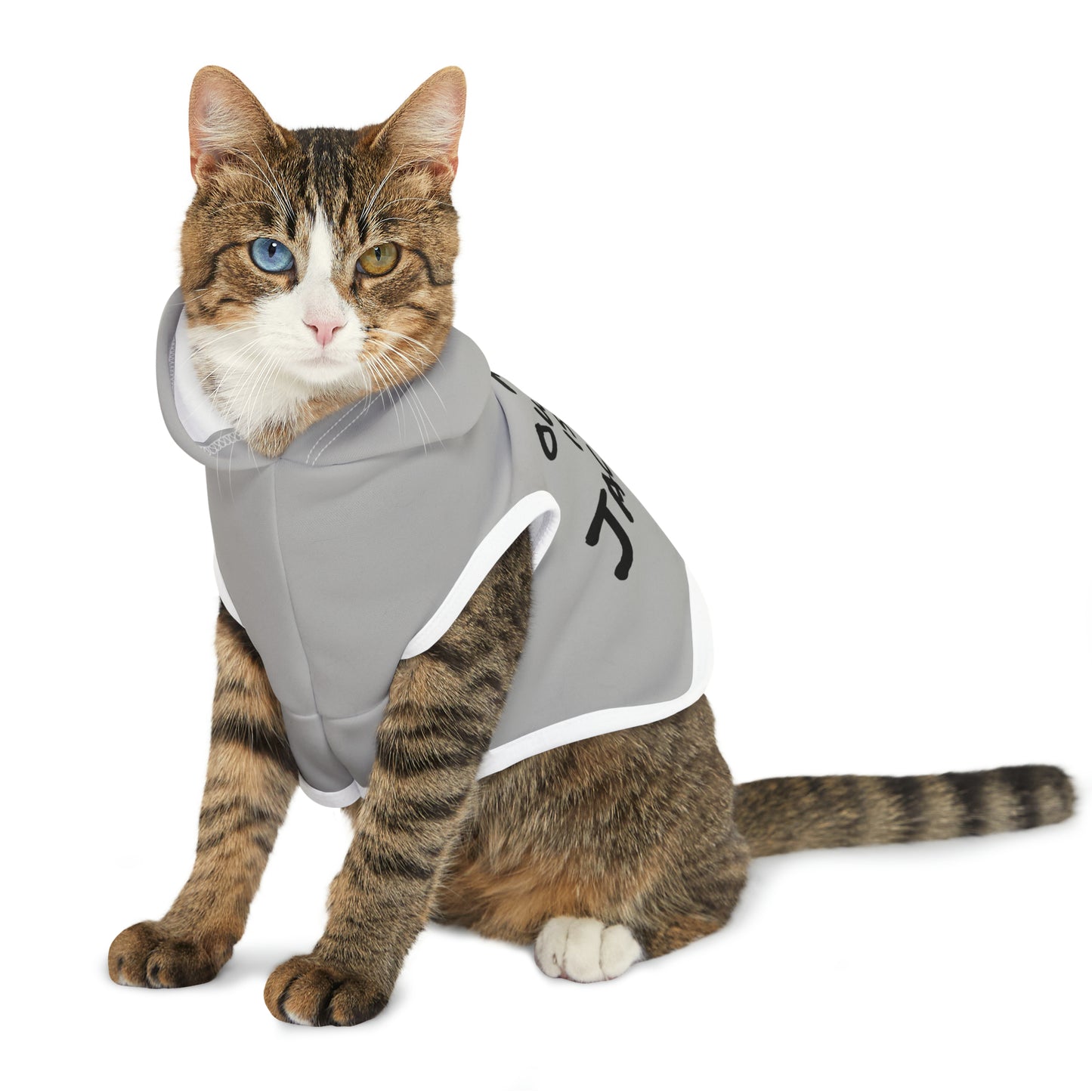 Jackass Owner Pet Hoodie