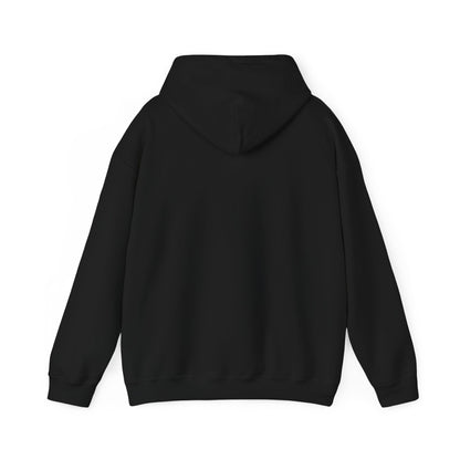 Come and Take it Hoodie
