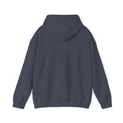 Come and Take it Hoodie