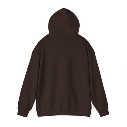 Come and Take It 'Merica Hoodie