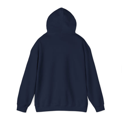 Come and Take it Hoodie