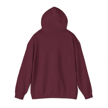 Texas Come and Take It Hoodie
