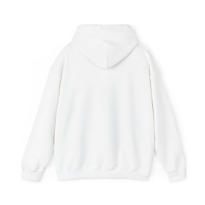 Come and Take It Texas Hoodie