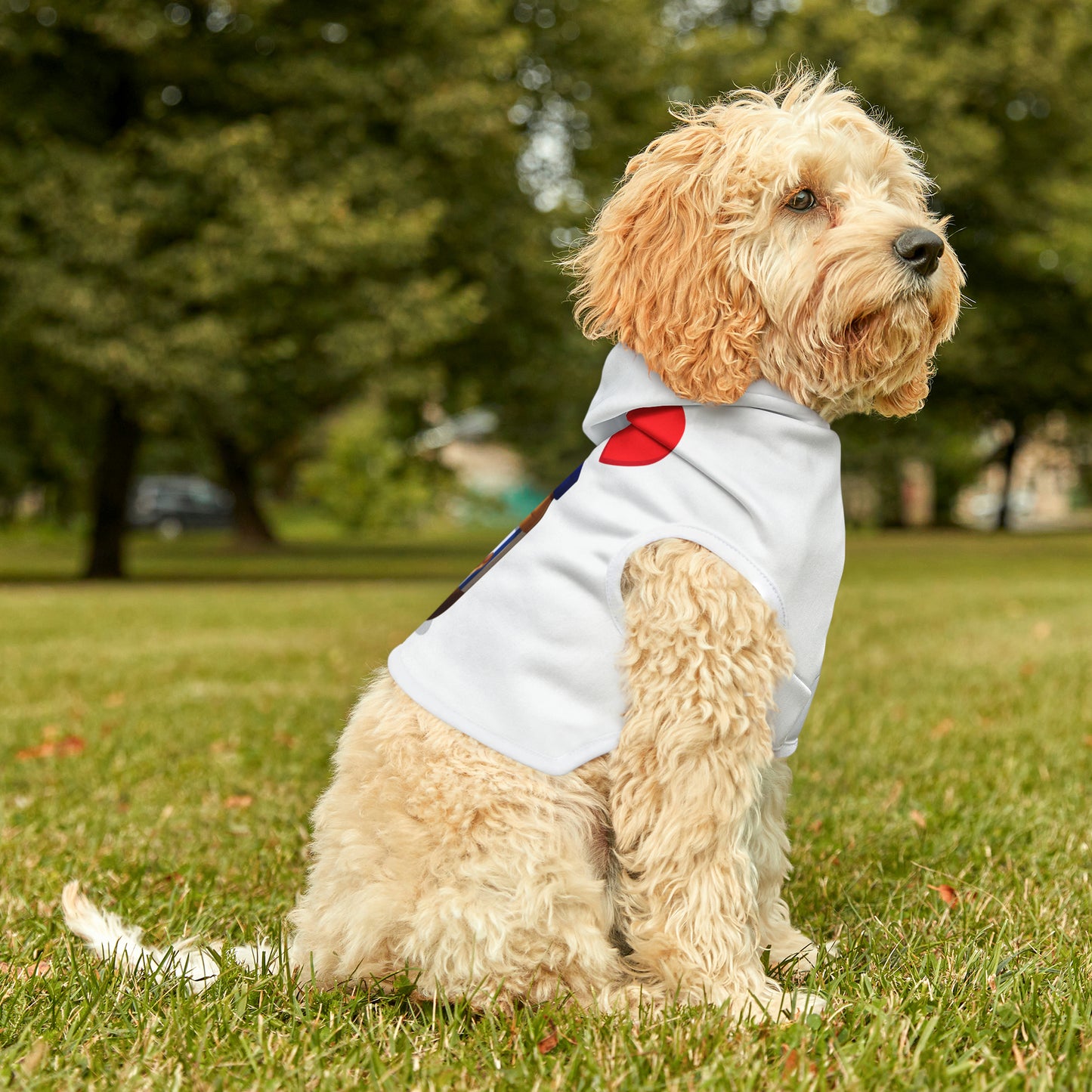 Peanut Butter Pet Hoodie