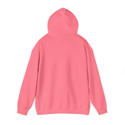 Come and Take It 'Merica Hoodie