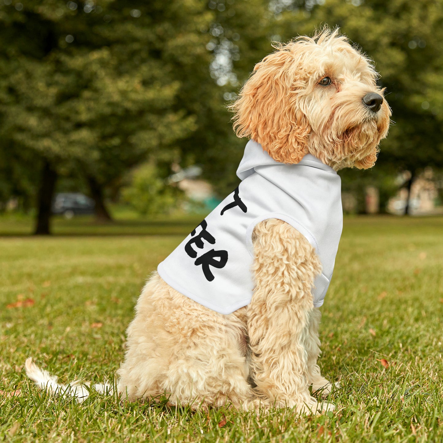 Butt Sniffer Pet Hoodie