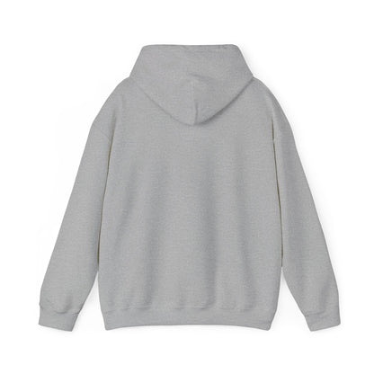 Come and Take It Texas Hoodie