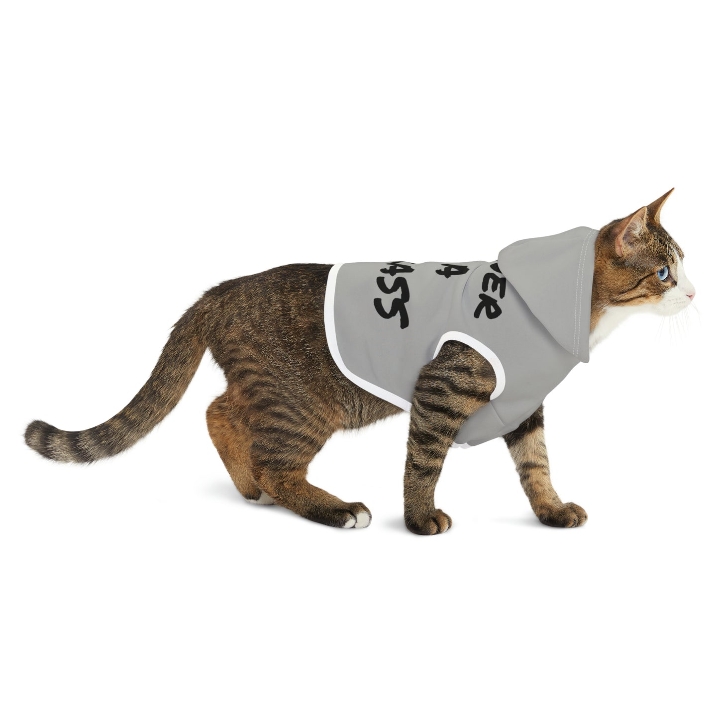 Jackass Owner Pet Hoodie