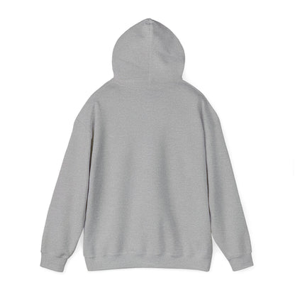 Come and Take It Texas Hoodie