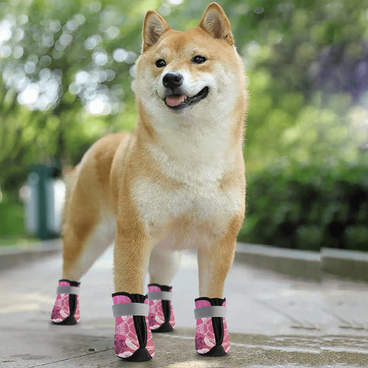 Turtlez Dog Socks