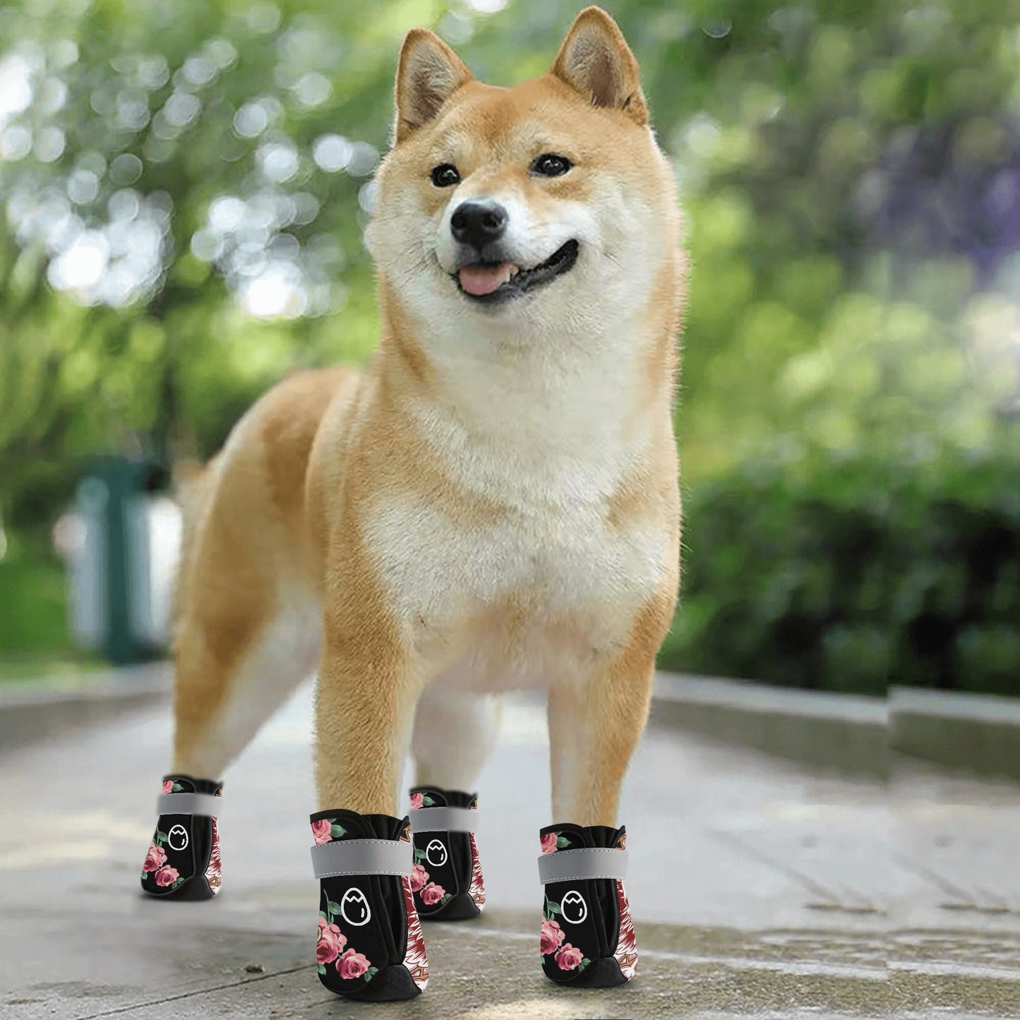 Skullz Dog Socks