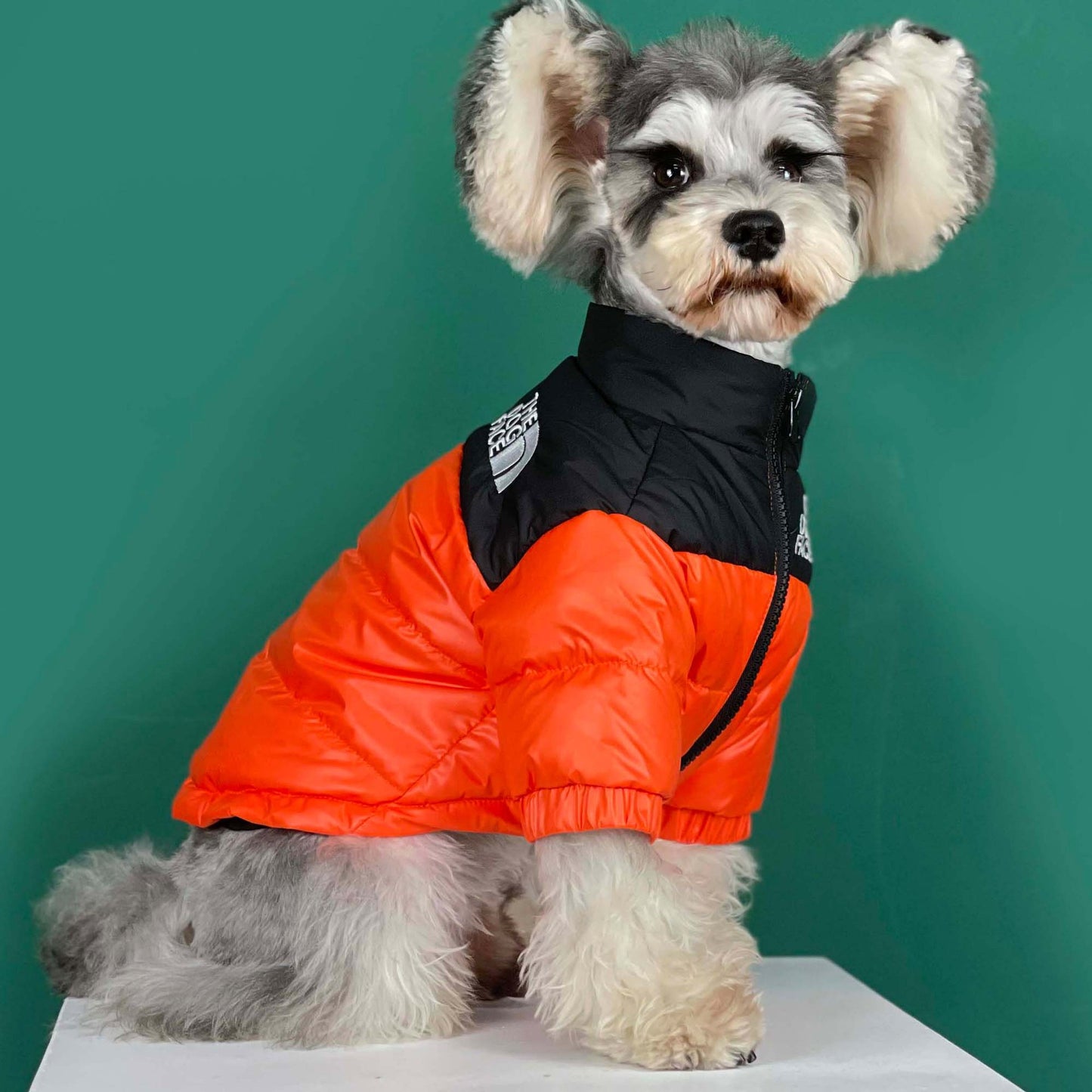 Dog Face Jacket