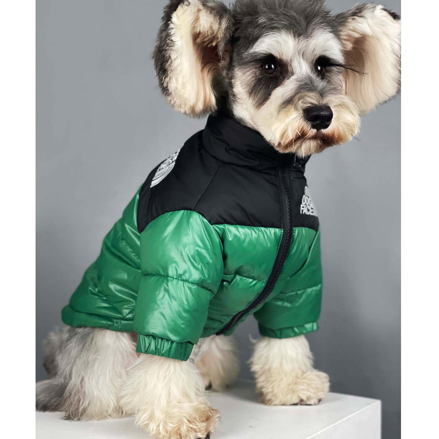 Dog Face Jacket