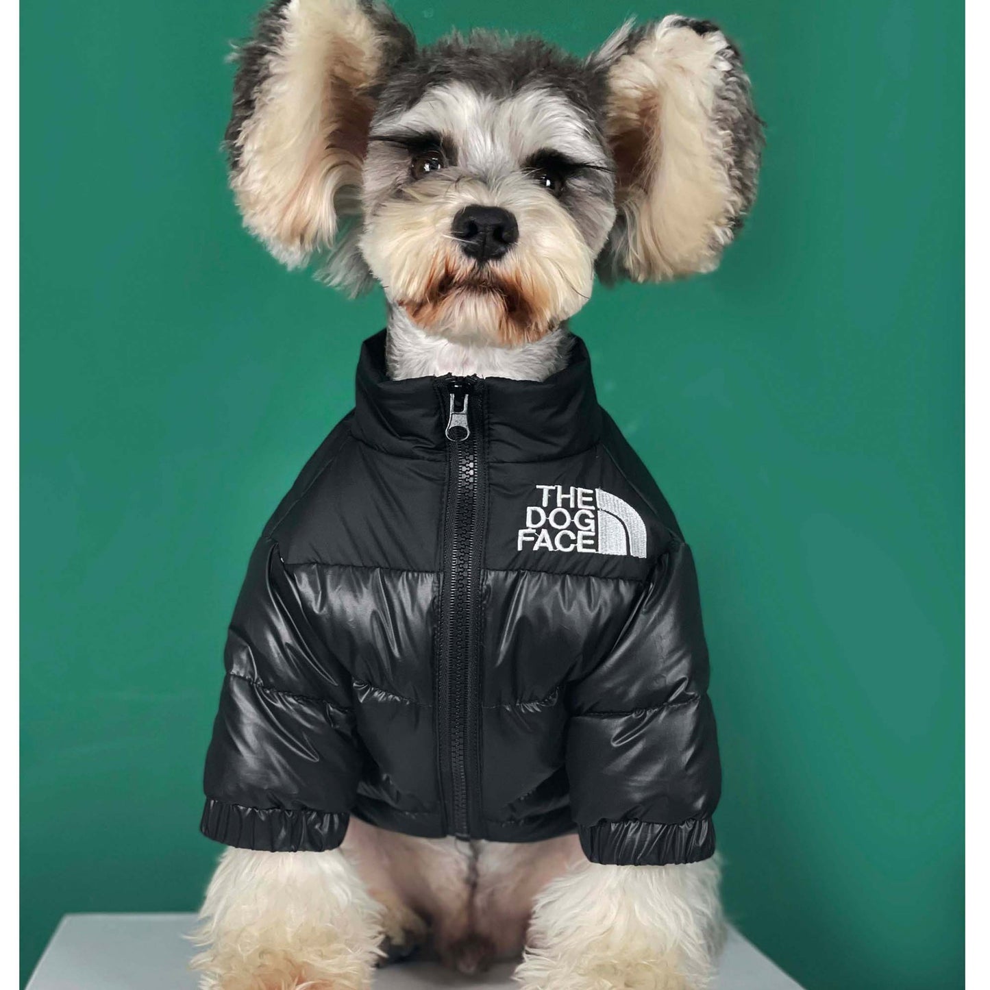 Dog Face Jacket