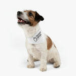 Pet Crackhead Apparel Bandana Collar - Crackhead Apparel