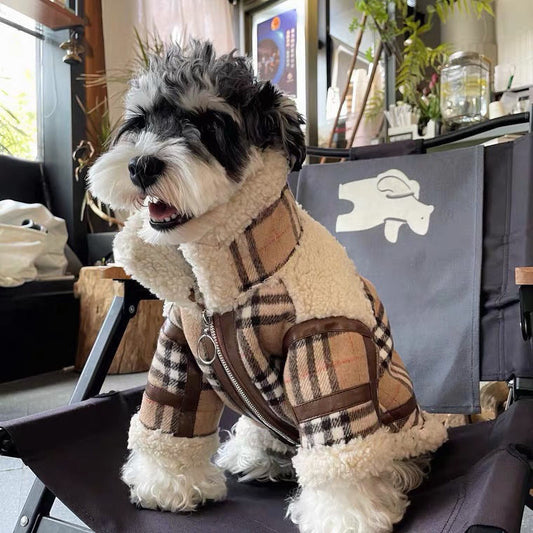 Winter Pet Wool Coat