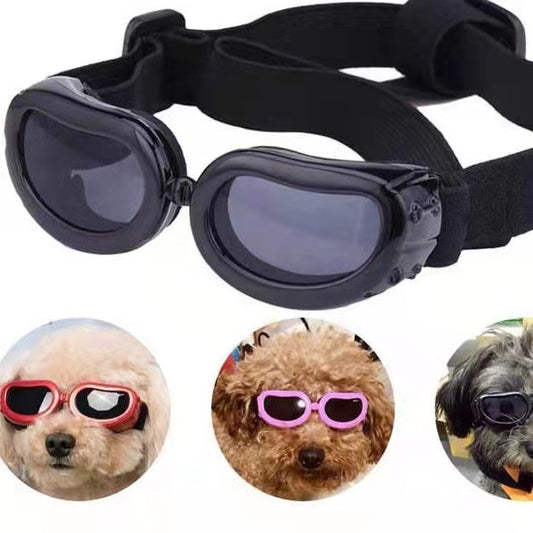 Pet Goggles